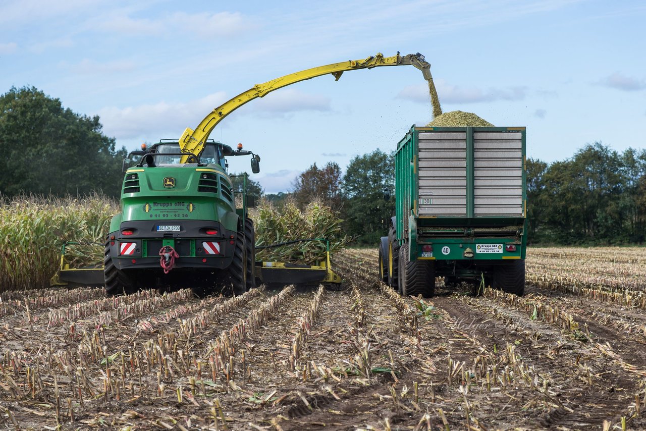 Bild 173 - Maisernte